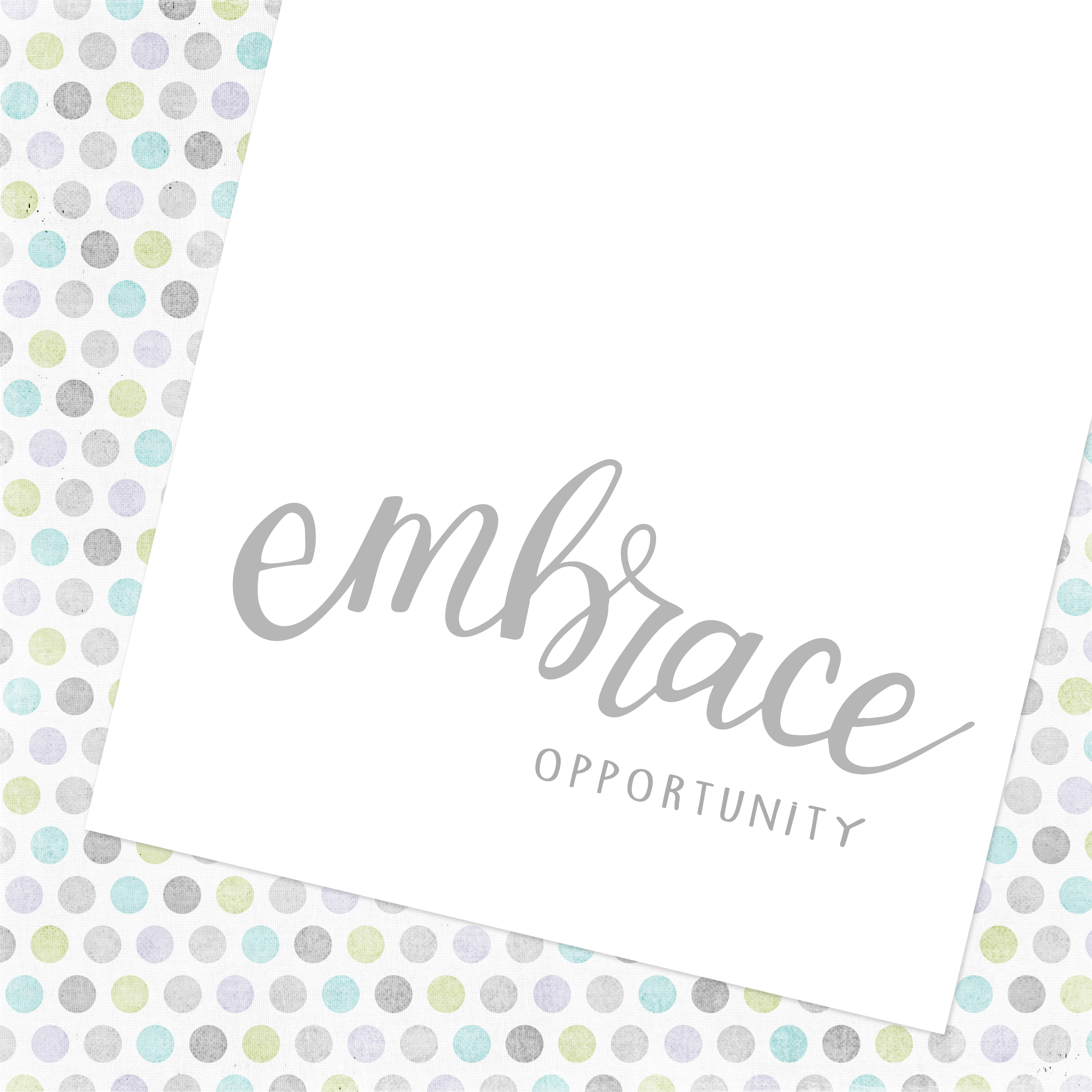 embrace opportunity