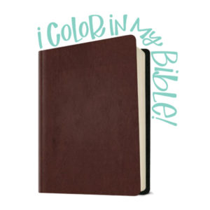 NLT Reflections Journaling Bible Review