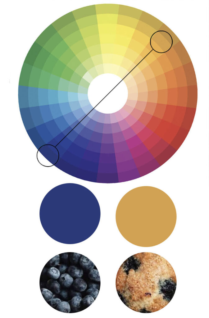 Color Wheel with the Complementary Colors of a blueberry muffin