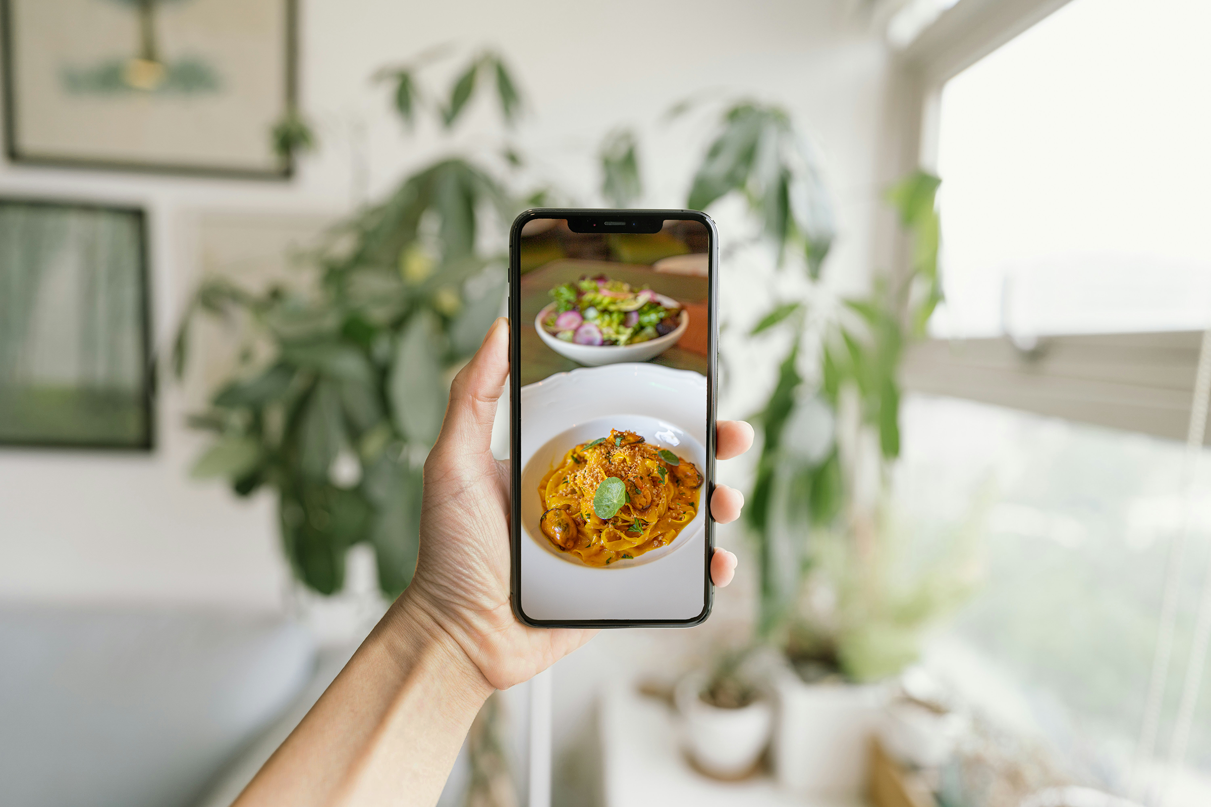 hand holding phone with food photography by nancy ingersoll
